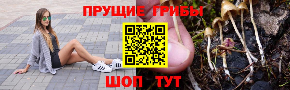 Галлюциногенные грибы MAGIC MUSHROOMS  Вход с VPN  Сердобск 